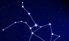 射手座不给你点赞（射手座不理你代表什么）