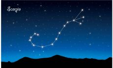 天蝎座的人喜欢什么样子的另一半（天蝎座喜欢的女生类型）