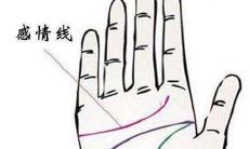 手相中指下竖线（无名指下竖纹手相）