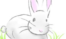 1987年属兔的2023年事业运怎么样（1987属兔的发财方位）