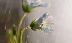 孕妇梦到自己有奶水了（狮子座在感情里不喜欢付出）