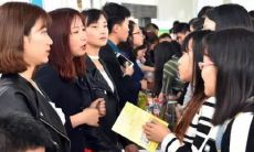 占卜未来职业方向（塔罗占卜事业走向）