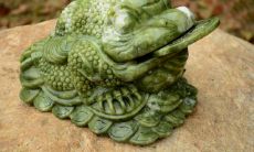 属虎可以戴金蟾吗（属虎的人可以戴黄金貔貅吗）