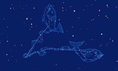 双鱼座喜欢话痨吗（双鱼座容易吃醋吗）