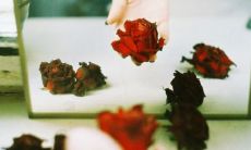 每个星座的性格是怎样的（12月是什么星座）