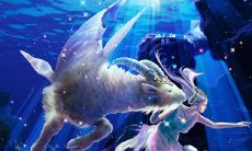 双子女怎么拿下摩羯男（双子女怎么追摩羯男）