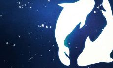 双鱼座是几月几日生的呢（双鱼座是几月几日）