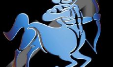 射手座长大以后是什么职业（射手座长大以后是什么样子的）