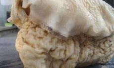 太岁符手牌黄金（太岁符牌送寺院可以么）