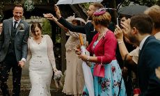 属虎的跟属猪的合吗（鼠和牛的属相合不合）