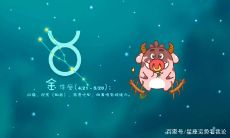 比桃花运更厉害的是什么运（什么才算桃花运）