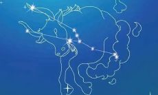 金牛座男生缺乏安全感（金牛座缺乏安全感吗）