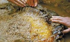 太岁肉有什么用（破太岁都用什么东西）