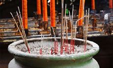 82年属狗财位在哪个方向2023（属狗人的财位在哪个方向82年）