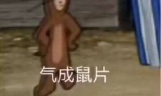 塔罗龙女私占（龙女塔罗假的）