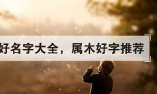 五行属木的字女孩用10画字意好（五行属木意义很好的字）