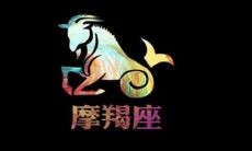 摩羯座和处女座男合适吗（白羊座男和摩羯座女）