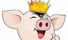 属猪女几月结婚最好（男属猪女属牛是几等婚）