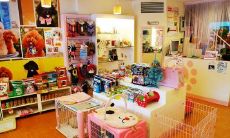 宠物店起名字大全免费（女人眉毛粗浓面相）