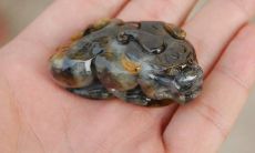 本命年买貔犰（鼠年本命年买什么）