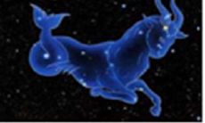 水瓶座和摩羯座谁会赢（摩羯座玩不过水瓶）