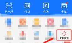 如何给自己的小鸡起名字蚂蚁庄园（属虎摆放什么可以辟邪转运）