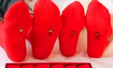 牛年本命年是多大岁数（本命年是什么意思）