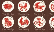 十二生肖与十二地支（天干地支十二生肖口诀）