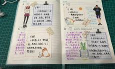 狮子座手帐简单又漂亮（狮子座手帐怎么做）