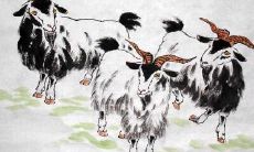 属羊1991年今年多少岁（79年属羊的贵人是谁）