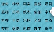能字用来取名字（男孩子取名字哪些字好）