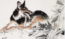 属狗人十二月份运势（70年属狗的运程）