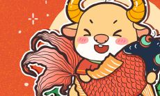 属牛人昨天财运好不好（属牛的一生财运怎么样）