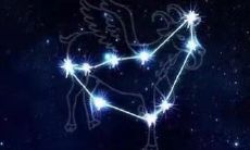 最适合金牛座的星座是（金牛座最适合哪个星座）