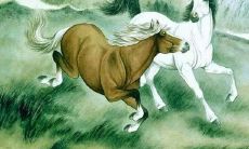 属马的多少年生人（属狗的是多少年生的）