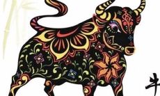 属牛的人脾气性格怎么样男（2023年属虎女的运势怎么样）