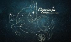 摩羯座的六个星区（摩羯座的星星）