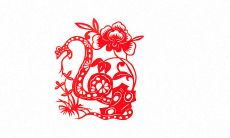 生肖属蛇人今日运势（1977年蛇女45岁中年运势）