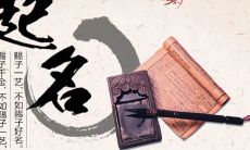 瀚字吉凶分析（瀚后面什么字能取名）