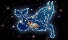 摩羯座和摩羯座谈恋爱合适吗（摩羯男暗恋的典型表现）