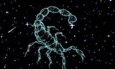 天蝎座男和天蝎座女在一起合适吗（天蝎女和天蝎男能在一起吗）