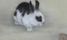 十二属相败月生最不好（属相哪个月的犯月最严重）