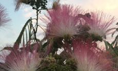 感情洁癖的心理测试（精神洁癖最严重的星座女）