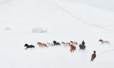 属马的人2023年的运程详解（马的运势2023年运势）