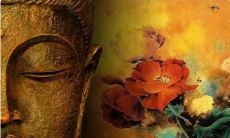 好和好可以轮回解释（又一个轮回是什么意思）