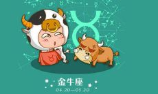 金牛女和双子男的爱情（双子女和金牛男适合什么关系）