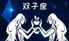 双子座对待爱情和婚姻的态度（双子座男生的性格和爱情观）