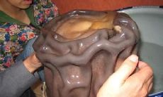 太岁肉是啥颜色（白色的太岁是什么样子的）