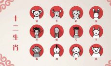 属相鼠和哪个属相不和（老鼠和什么属相不合）