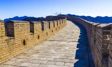 狮子座到底是什么血型的（0型血狮子座的性格女）